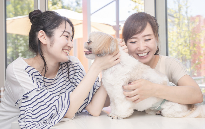 トリミングやドッグホテルなどの多彩なサービス