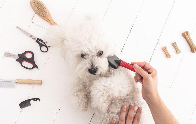 施術以外のお悩みや不安にも寄り添います